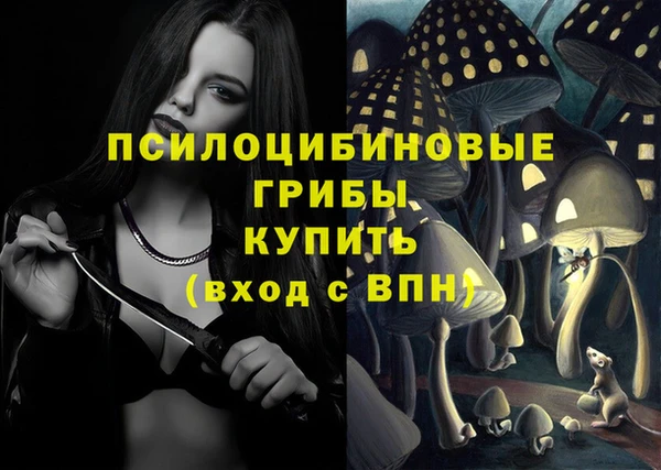 прущий лед Алексин