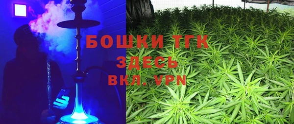 дмт Алзамай