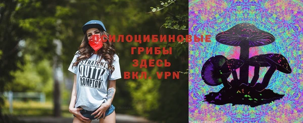 прущий лед Алексин