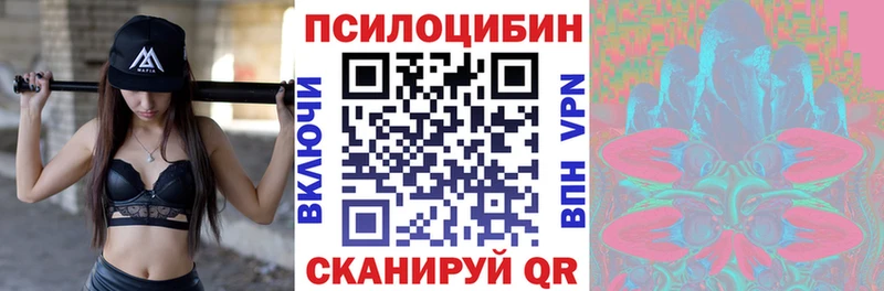 Псилоцибиновые грибы Cubensis  купить закладку  дарк нет телеграм  Звенигово 