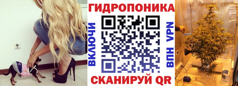 Бошки Шишки индика Звенигово